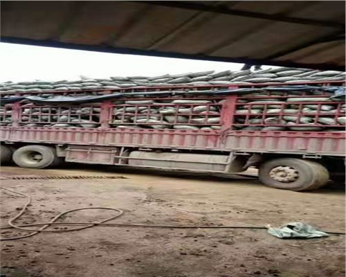 2021揭陽粘土陶粒多少錢電話報(bào)價(jià)